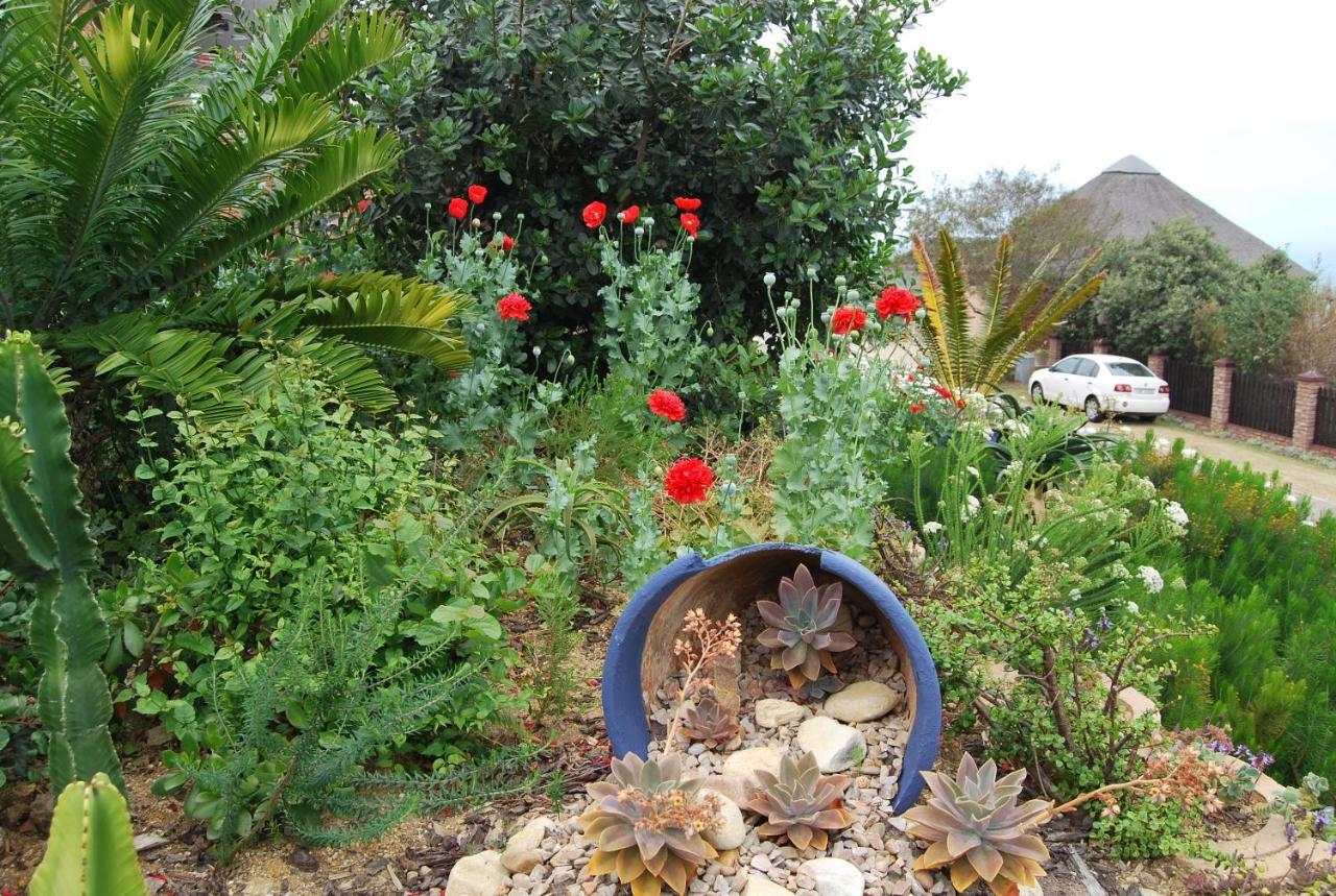 Wilderness Ocean View Cottage מראה חיצוני תמונה